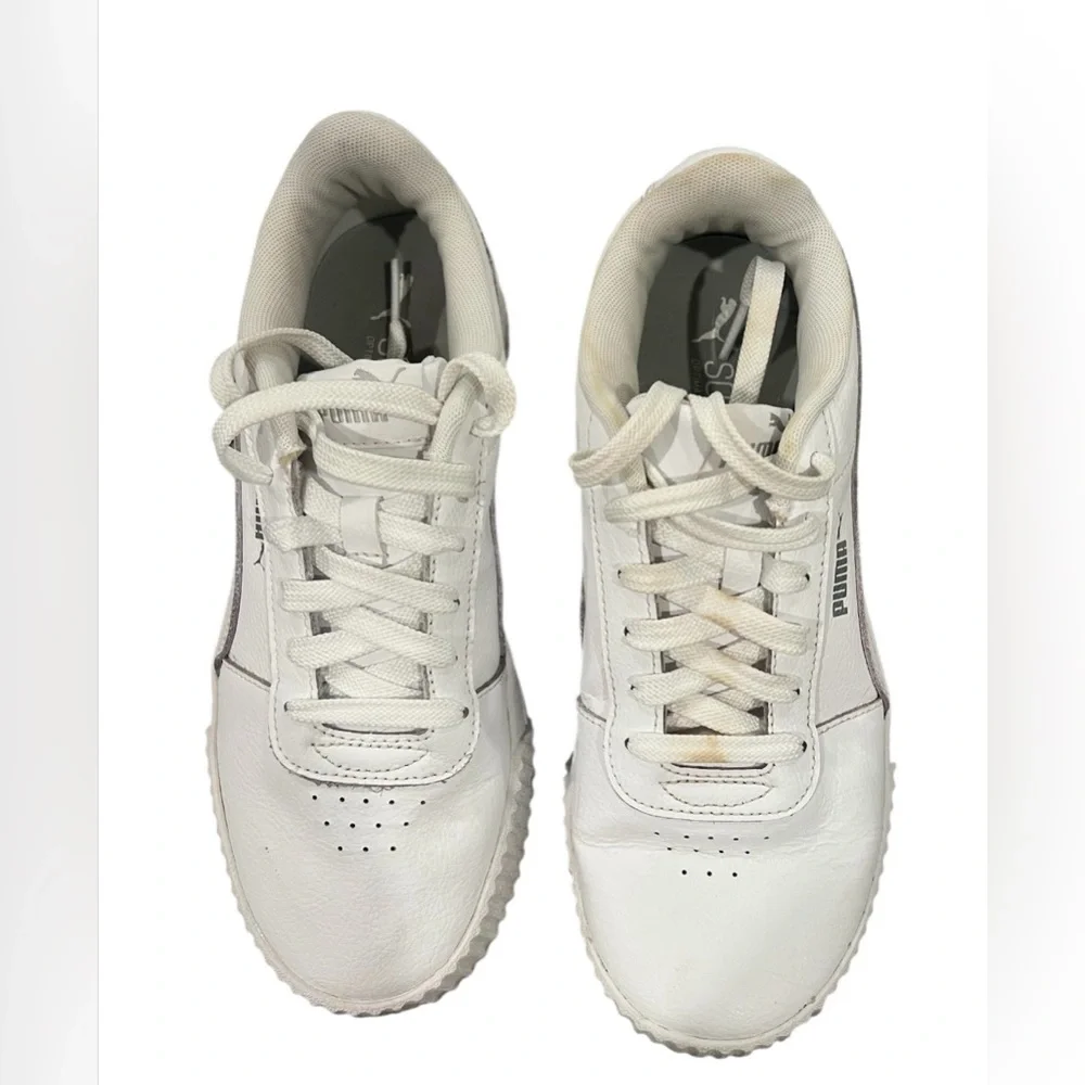 Puma carina street